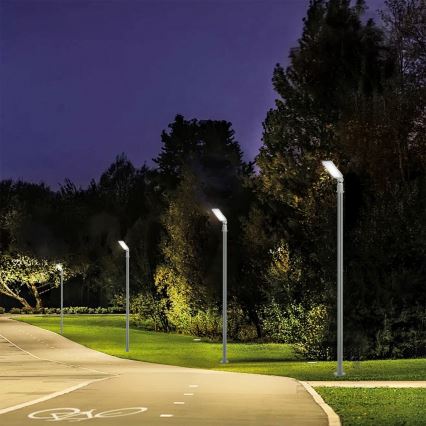 Brilagi - LED zunanja ulična svetilka s stebrom in zglobom 3 m URBANLIGHT LED/50W/230V siva IP65