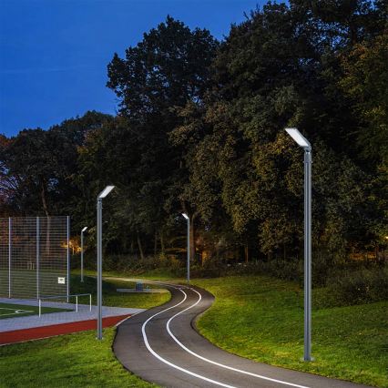 Brilagi - LED zunanja ulična svetilka s stebrom in zglobom 3 m URBANLIGHT LED/50W/230V antracit IP65