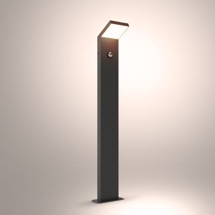 Brilagi - LED zunanja svetilka s senzorjem RIANO LED/8W/230V antracitna IP65