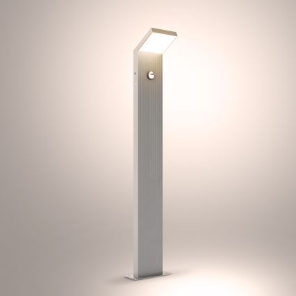 Brilagi - LED zunanja svetilka s senzorjem RIANO LED/8W/230V srebrna IP65