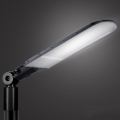 Brilagi - LED zunanja ulična svetilka URBANLIGHT LED/250W/230V črna IP65