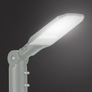 Brilagi - LED zunanja ulična svetilka URBANLIGHT LED/50W/230V siva IP65