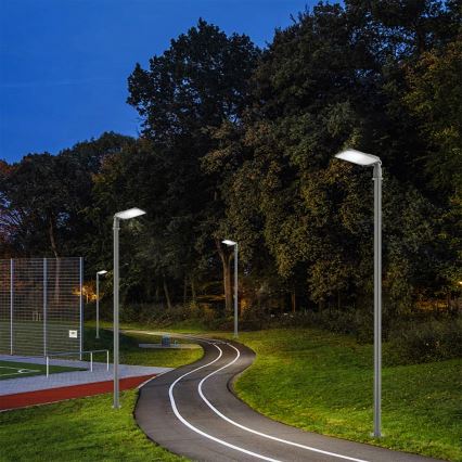 Brilagi - LED zunanja ulična svetilka z nastavljivim zglobom URBANLIGHT LED/100W/230V siva IP65