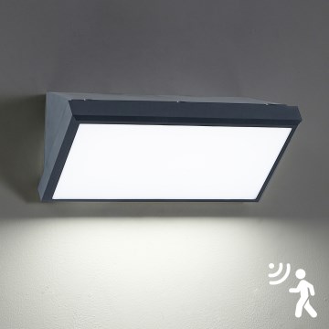 Brilagi - LED zunanje stensko svetilo s senzorjem TRIANGLE LED/20W/230V antracitno IP65