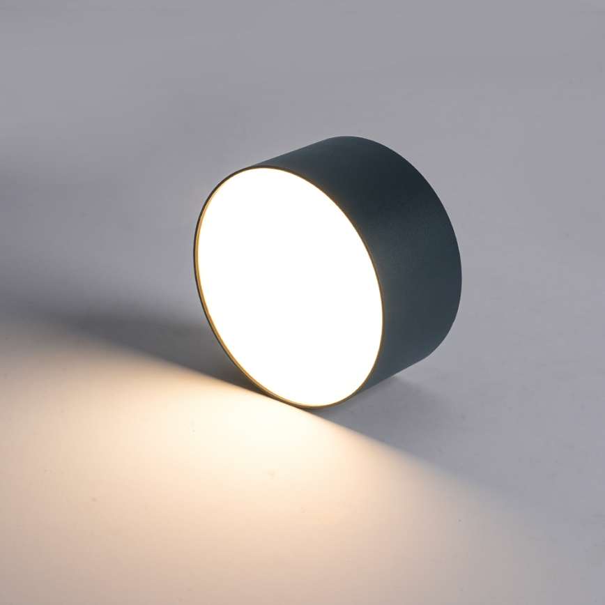 BRILAGI - LED Zunanje stropno svetilo FORIS LED/14W/230V premer 12 cm antracitno IP44
