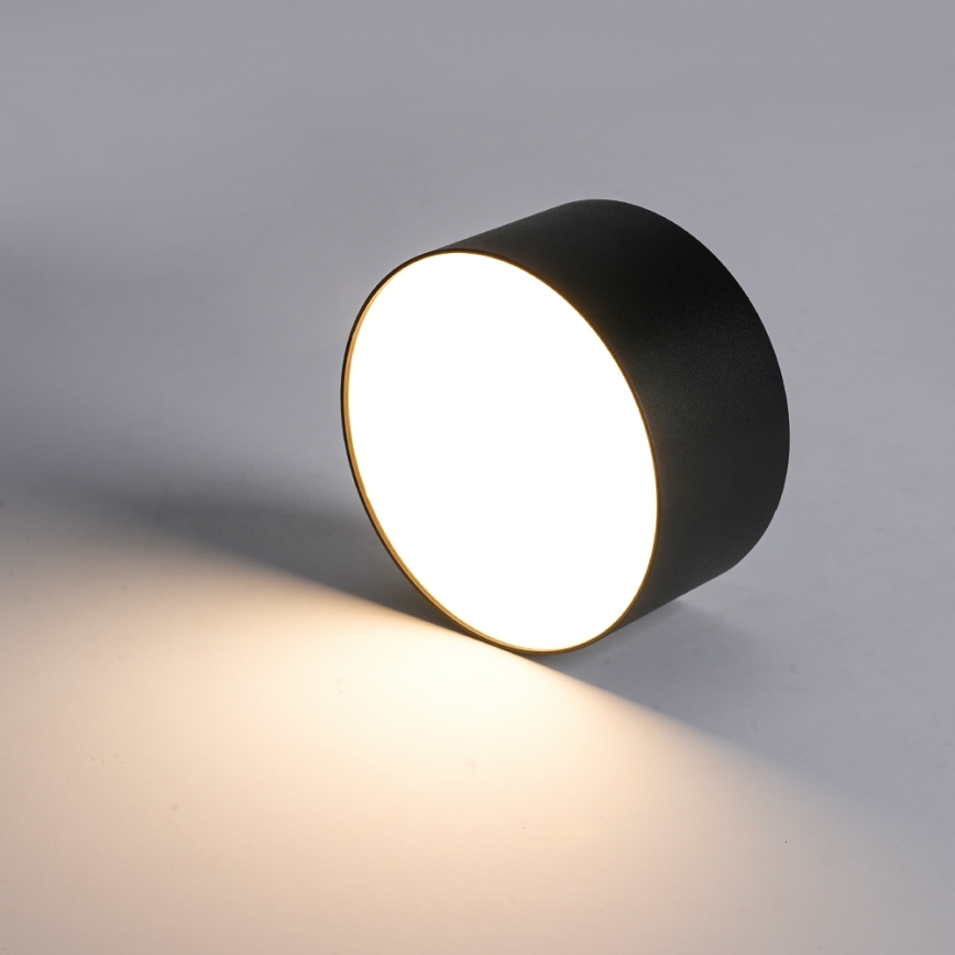 BRILAGI - LED zunanja stropna svetilka FORIS LED/20W/230V premer 15 cm črna IP44