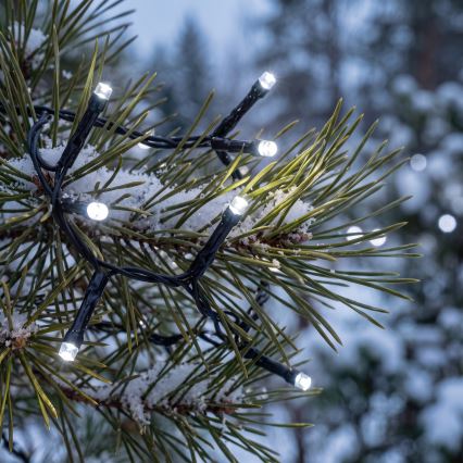 BRILAGI - LED zunanji božični niz 800xLED 21m IP44 hladno bela
