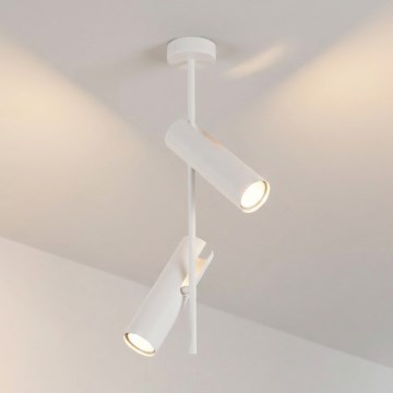 Brilagi - Lestenec na drogu BRANCH 2xGU10/30W/230V, bela