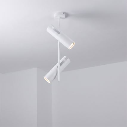 Brilagi - Lestenec na drogu BRANCH 2xGU10/30W/230V, bela