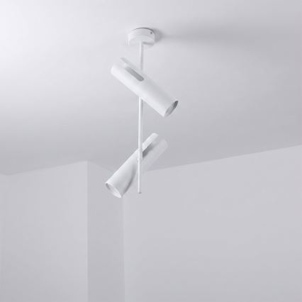 Brilagi - Lestenec na drogu BRANCH 2xGU10/30W/230V, bela