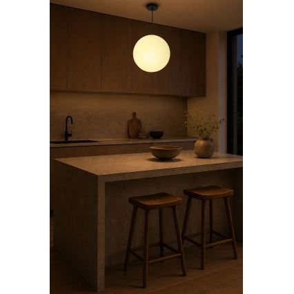 BRILAGI - Lestenec na kablu POLOS 1xE27/40W/230V premer 30 cm črna