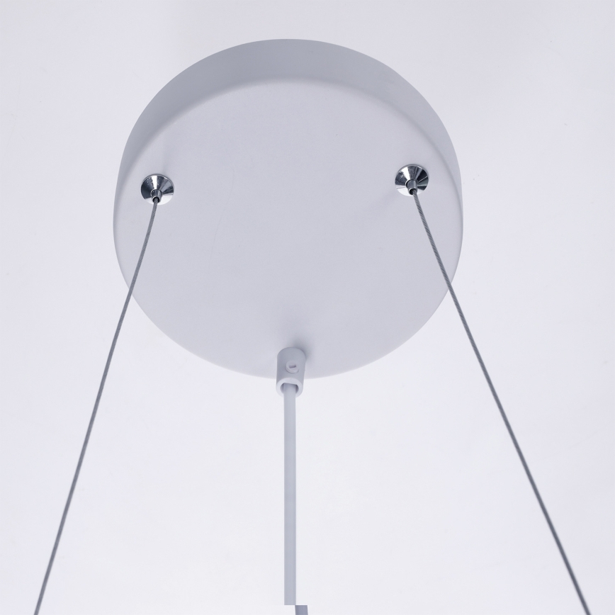 BRILAGI - Lestenec na kablu SELE 6xGU10/30W/230V bela