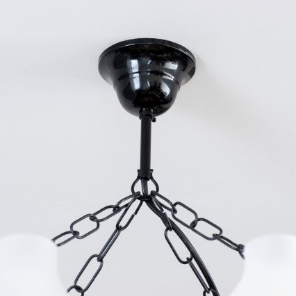 Brilagi - Lestenec na verigi QUEEN 8xE14/40W/230V bukev/oreh