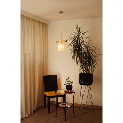 Brilagi - Lestenec na vrvici FOREST 1xE27/15W/230V bor/rjava/krem barva