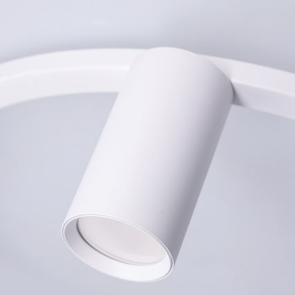 BRILAGI - Lestenec na vrvici SELE 6xGU10/30W/230V bel