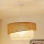 Brilagi - Lestenec na vrvici SHINE 1xE27/15W/230V pr. 50 cm bež/krem barva