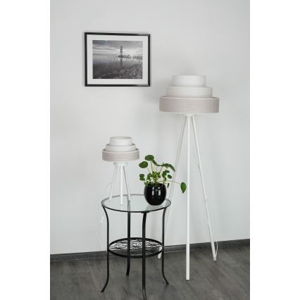 Brilagi - Namizna svetilka ALASKA LUNETA 1xE27/15W/230V siva/krem barva
