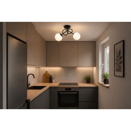 Brilagi - Pritrdjen lestenec MILO 2xE27/60W/230V črna