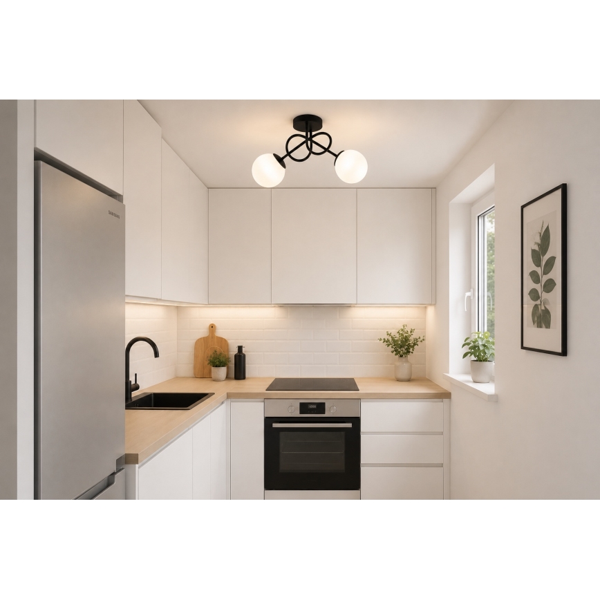 Brilagi - Pritrdjen lestenec MILO 2xE27/60W/230V črna