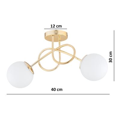 Brilagi - Pritrdjen stropni lestenec MILO 2xE27/60W/230V v zlati barvi