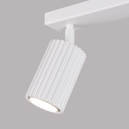 Brilagi - Reflektor CRESTO 2xGU10/10W/230V bela