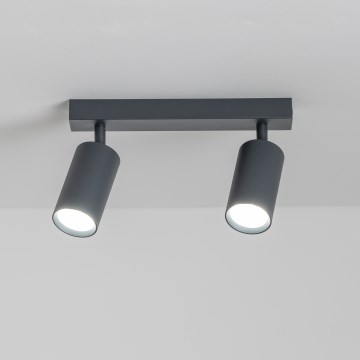 Brilagi - Reflektor SELE 2xGU10/30W/230V antracit
