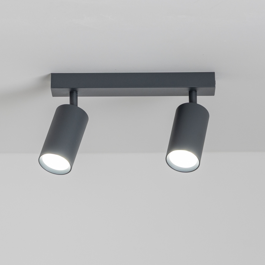 Brilagi - Reflektor SELE 2xGU10/30W/230V antracit