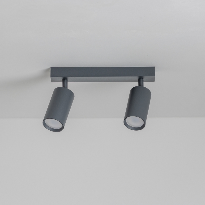 Brilagi - Reflektor SELE 2xGU10/30W/230V antracit