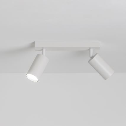 Brilagi - Reflektor SELE 2xGU10/30W/230V bela