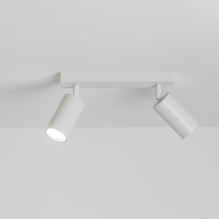 Brilagi - Reflektor SELE 2xGU10/30W/230V bela