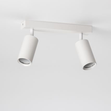 Brilagi - Reflektor SELE 2xGU10/30W/230V bela