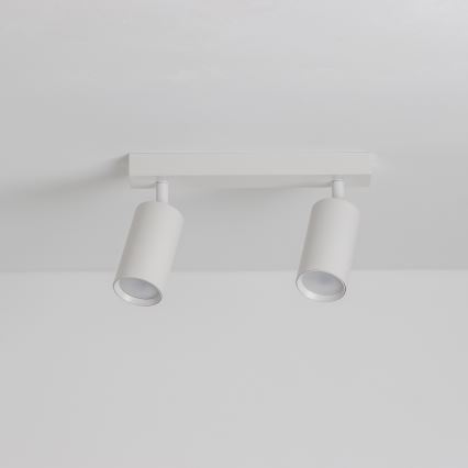 Brilagi - Reflektor SELE 2xGU10/30W/230V bela