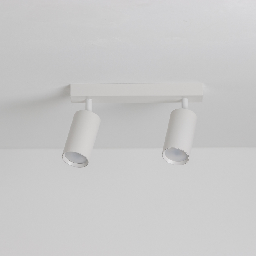Brilagi - Reflektor SELE 2xGU10/30W/230V bela