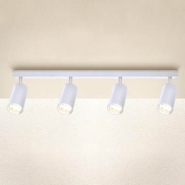 Brilagi - Reflektor SELE 4xGU10/30W/230V bela