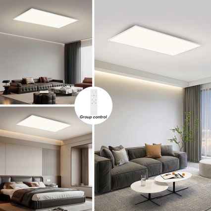 Brilagi - LED zatemnjevalno stropno svetilo SLIMFRAME LED/80W/230V 120x60 cm 3000-6000K bela + daljinski upravljalnik
