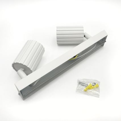 Brilagi - Smerno stropno svetilo CRISPINA 2xGU10/10W/230V bela