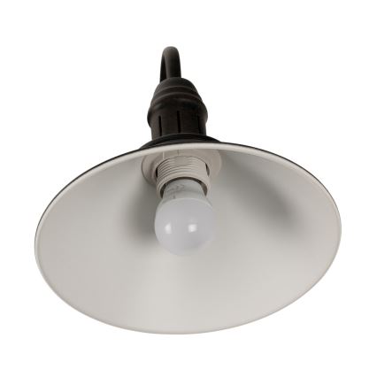 BRILAGI - Stenska svetilka FORGE 1xE27/60W/230V črna