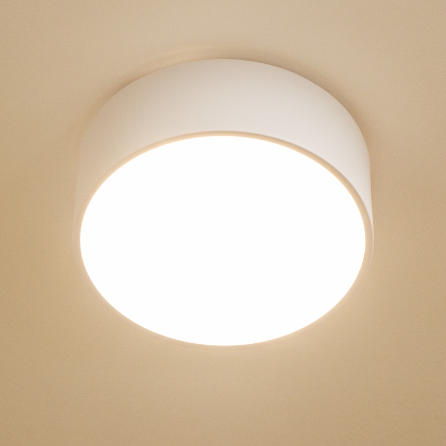 Brilagi - Stropna kopalniška svetilka POOL 2xE27/15W/230V, premer 30 cm, IP54, bela