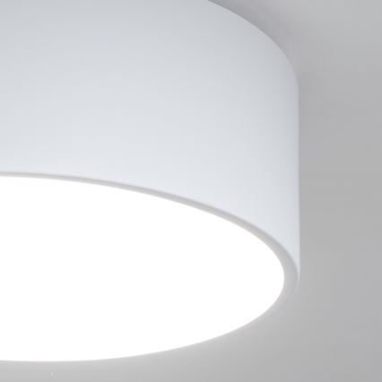 Brilagi - Stropna kopalniška svetilka POOL 2xE27/15W/230V, premer 30 cm, IP54, bela