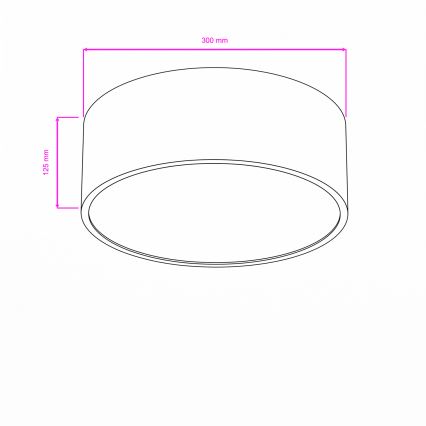 Brilagi - Stropna kopalniška svetilka POOL 2xE27/15W/230V, premer 30 cm, IP54, bela