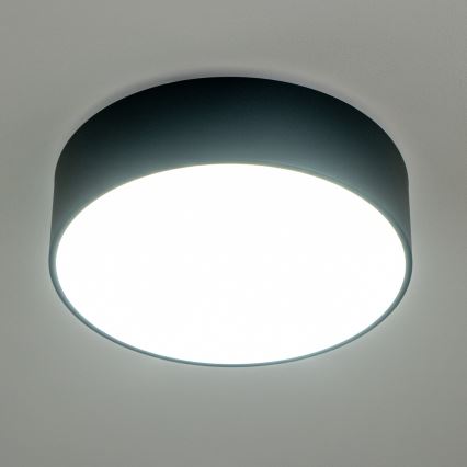 Brilagi - Stropna kopalniška svetilka POOL 3xE27/15W/230V pr. 40 cm IP54 črna