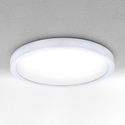 Brilagi - LED stropna svetilka ESTELA LED/18W/230V, premer 30 cm, bela