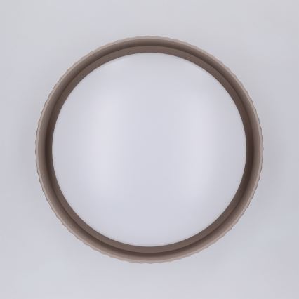 Brilagi - stropna LED svetilka LUCIA, 24 W, 230 V, premer 31 cm, taupe