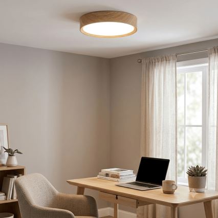 Brilagi - stropna LED svetilka NATURA, 20 W, 230 V, 3000 K, Ø 33,7 cm