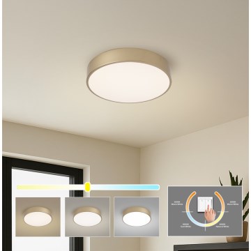 Brilagi - Stropna LED svetilka POOL, 36 W, 230 V, 3000/4000/6000 K, premer 30 cm, zlata