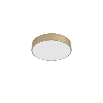 Brilagi - Stropna LED svetilka POOL, 36 W, 230 V, 3000/4000/6000 K, premer 30 cm, zlata