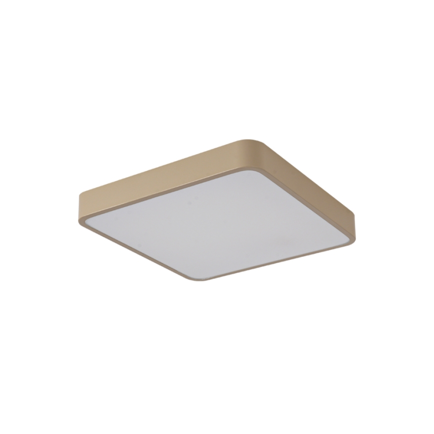Brilagi - stropna LED svetilka POOL LED/48W/230V 3000/4500/6000K 50x50 cm bež