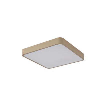 BRILAGI - stropna LED svetilka POOL SQUARE LED/36W/230V 3000/4000/6000K 40x40 cm bež