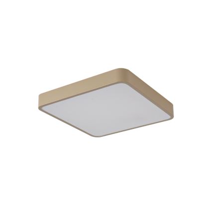 BRILAGI - stropna LED svetilka POOL SQUARE LED/48W/230V 3000/4000/6000K 50x50 cm bež