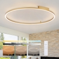 Brilagi - Stropna LED svetilka PORTOFINO z možnostjo zatemnitve LED/85W/230V 3000-6000K, premer 120 cm, zlata + daljinski upravljalnik